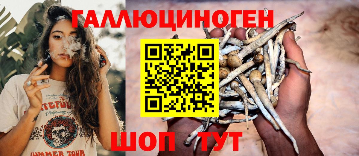 Псилоцибиновые грибы GOLDEN TEACHER Карпинск